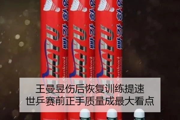 王曼昱伤后恢复训练提速 世乒赛前正手质量成最大看点（ob.comapp）