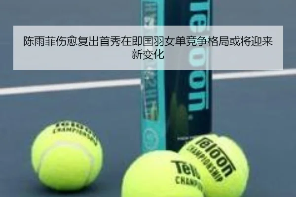 陈雨菲伤愈复出首秀在即国羽女单竞争格局或将迎来新变化（ob.comapp）